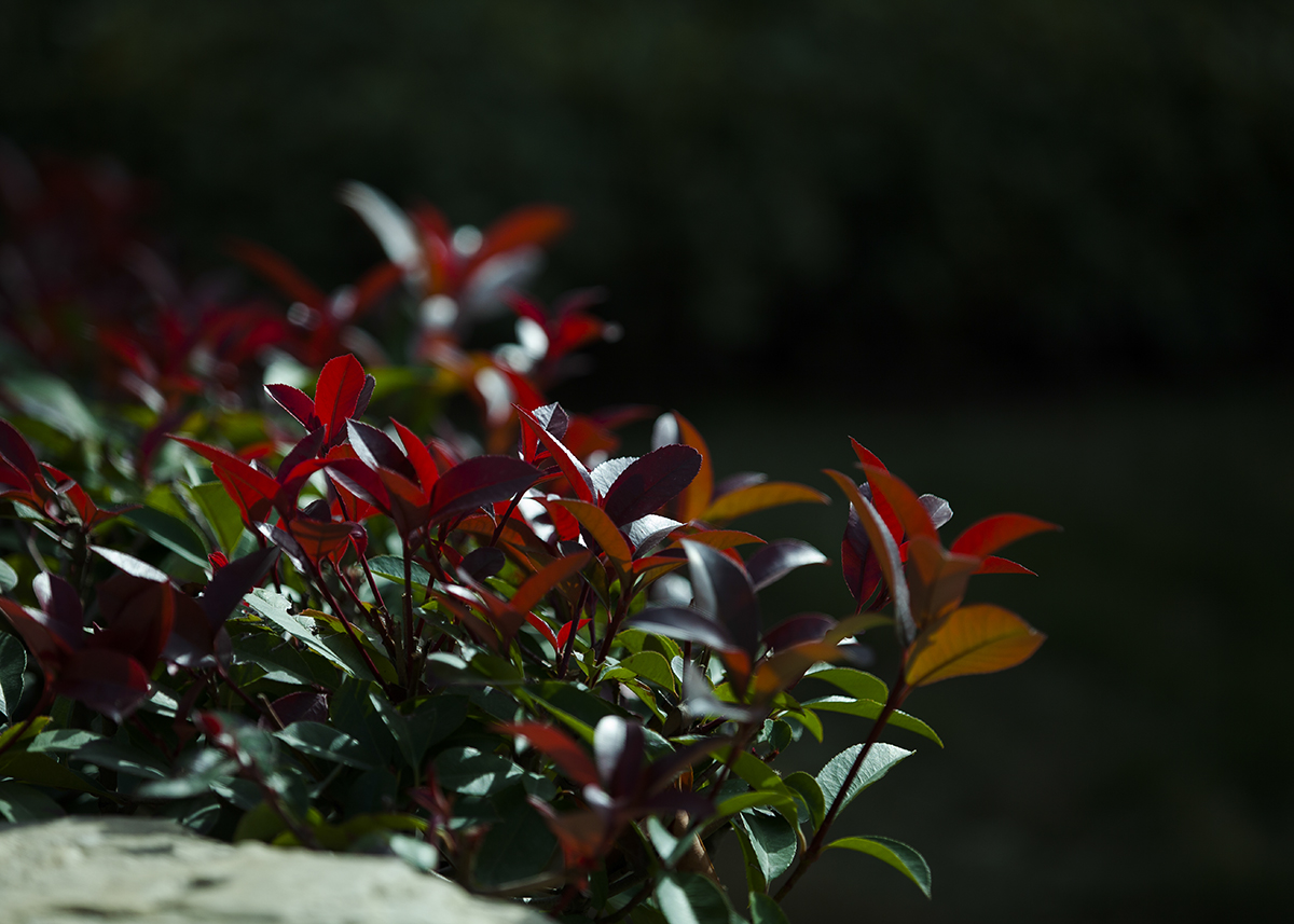 20131124_0889.jpg