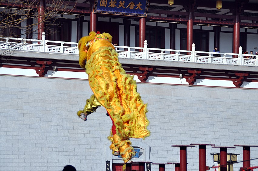 DSC_0066_conew1.jpg