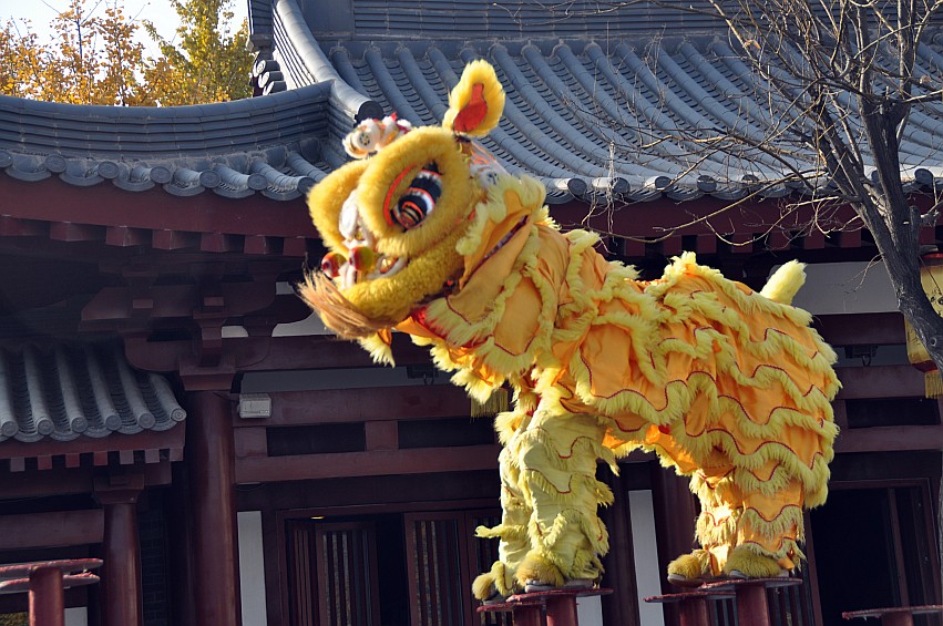 DSC_0091_conew1.jpg