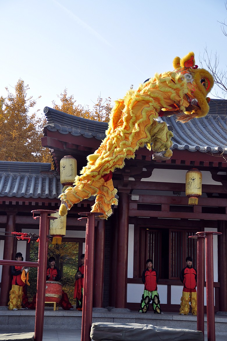 DSC_0095_conew1.jpg