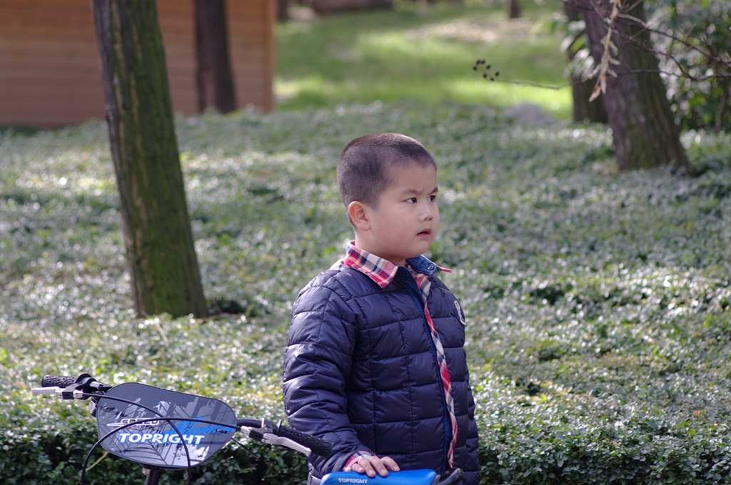 IMGP4584 (复制).jpg