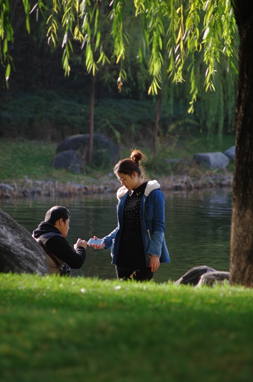 IMGP4626 (复制).jpg