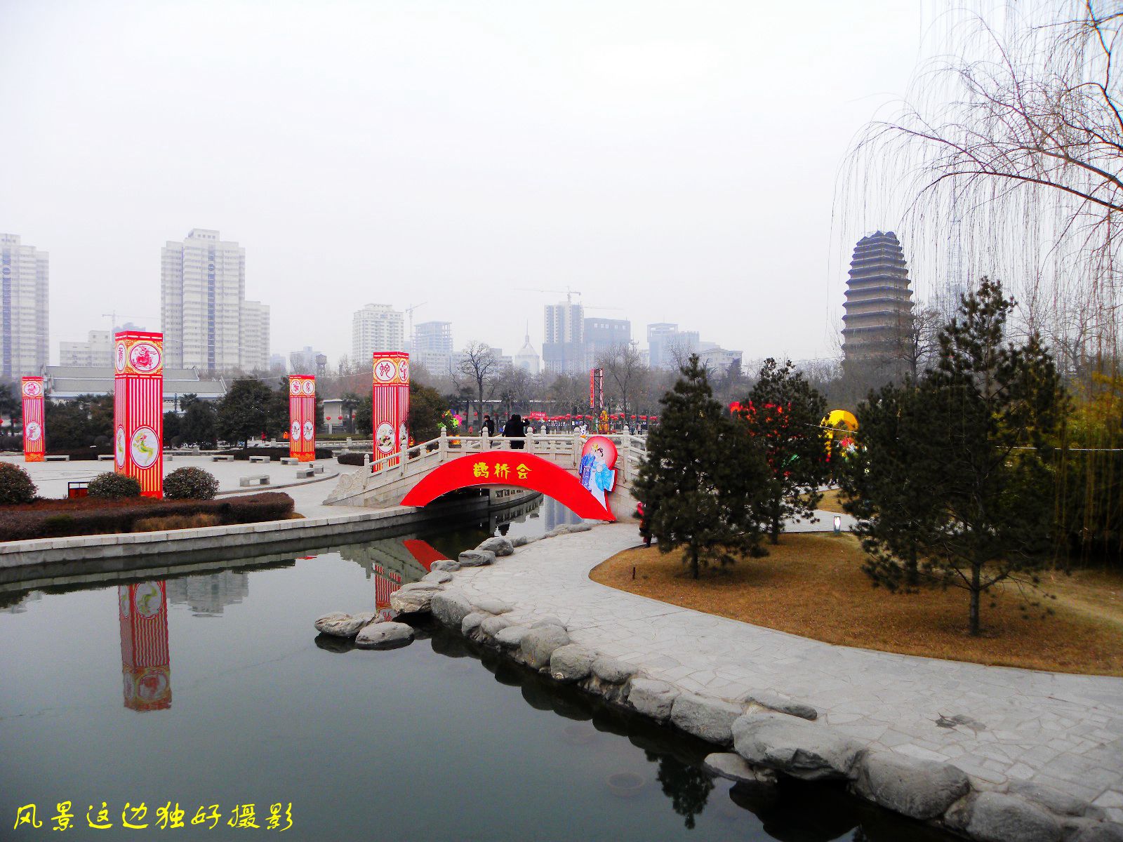DSCN7996.JPG