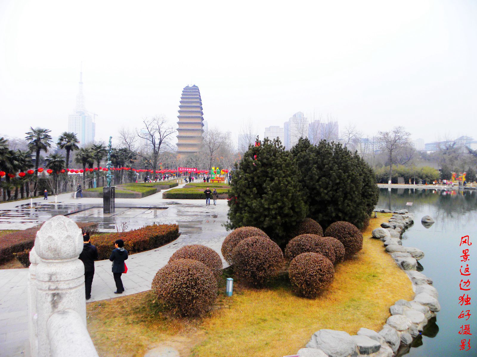 DSCN7944.JPG