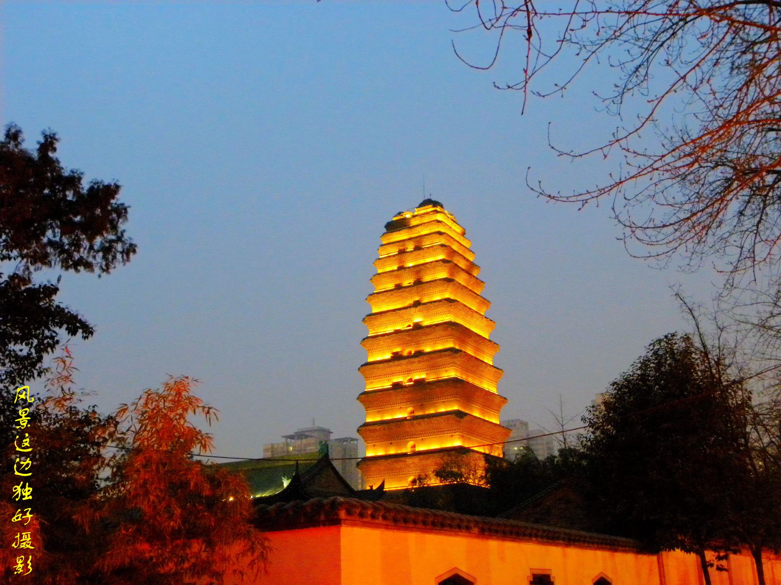 DSCN8114.JPG