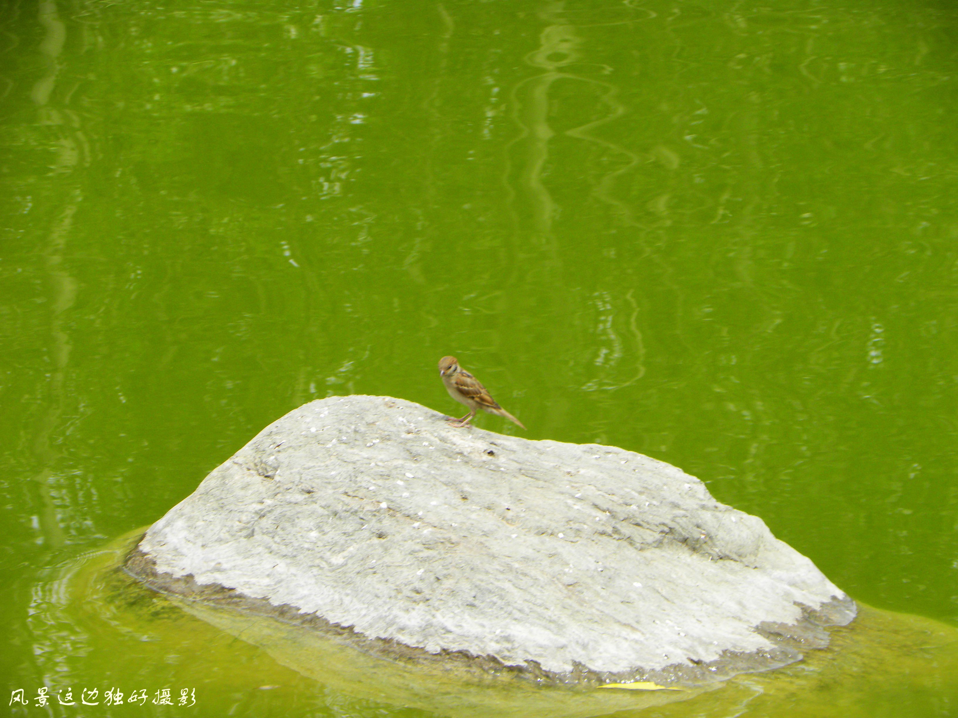 DSCN8943.JPG