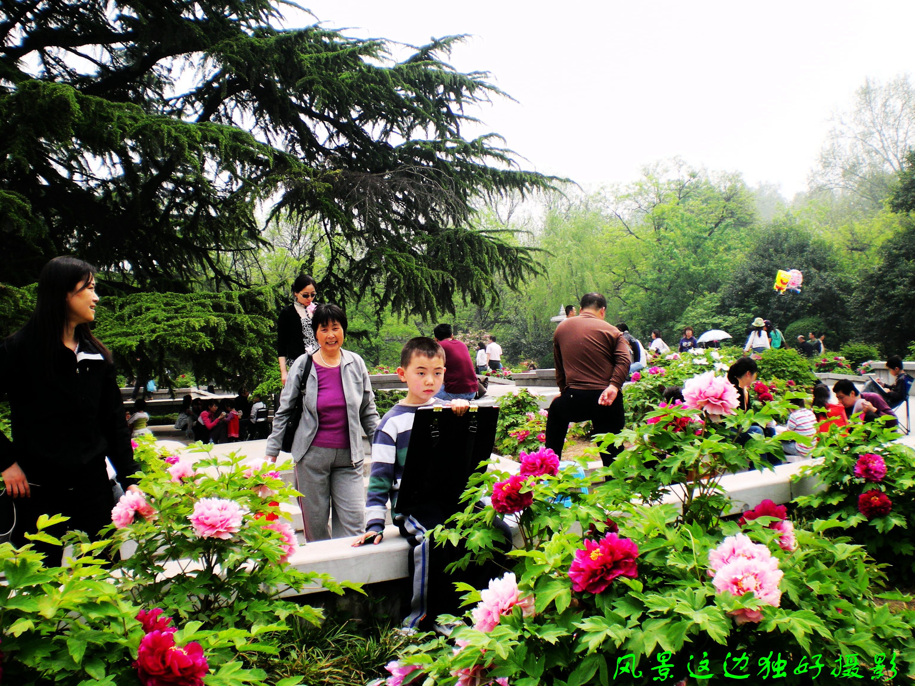 DSCN5535.JPG