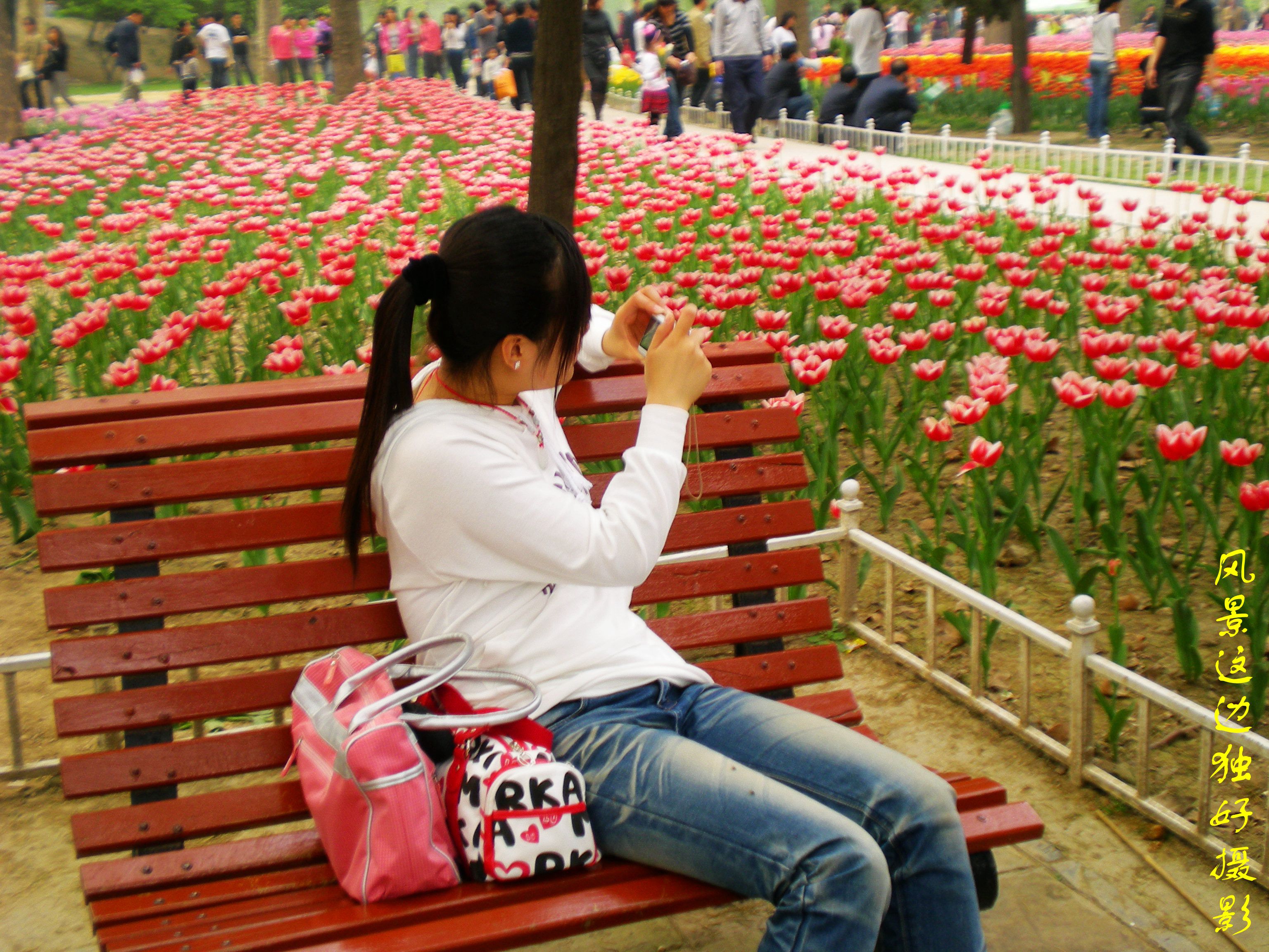 DSCN5649.JPG