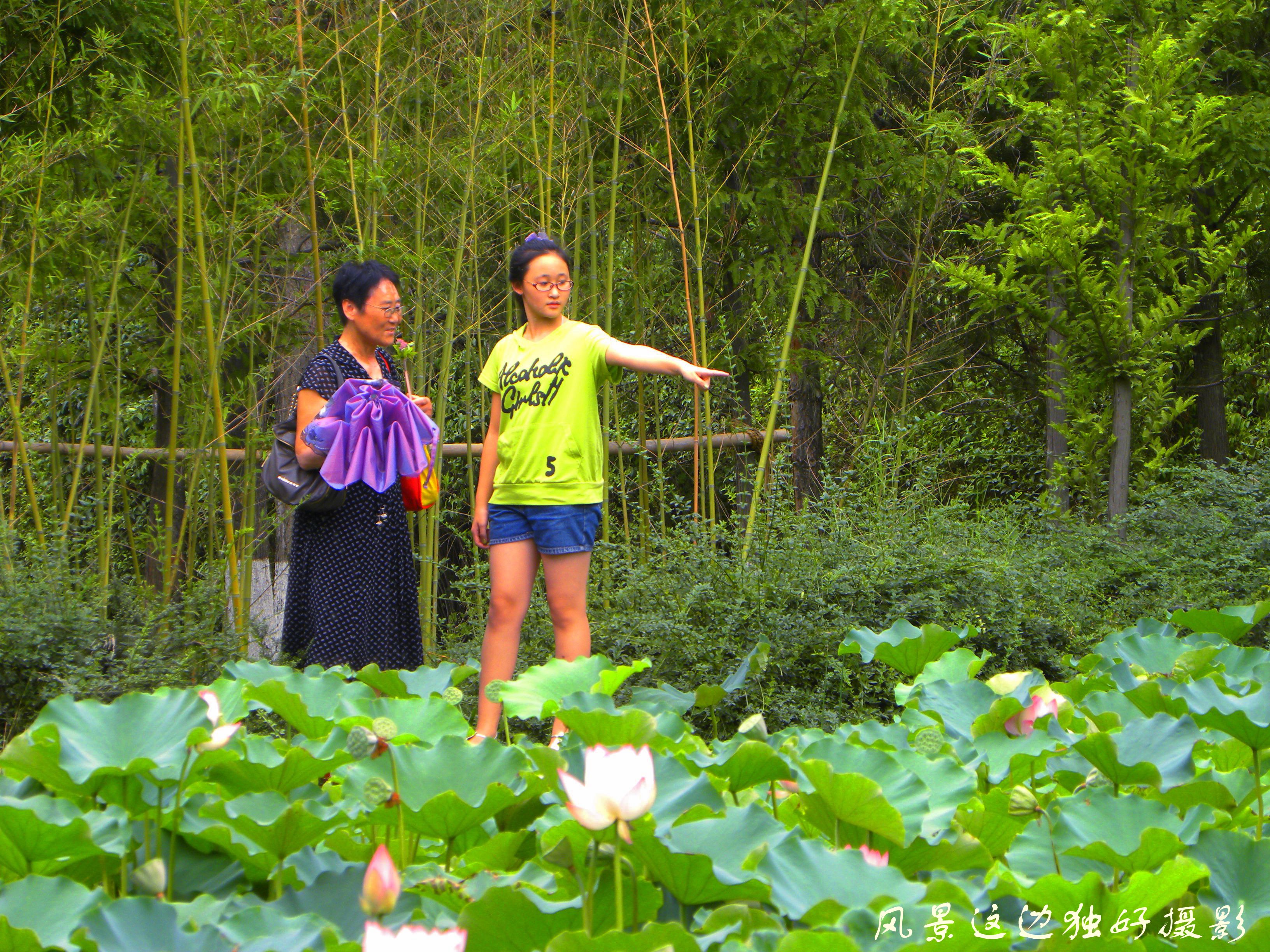 DSCN8719.JPG