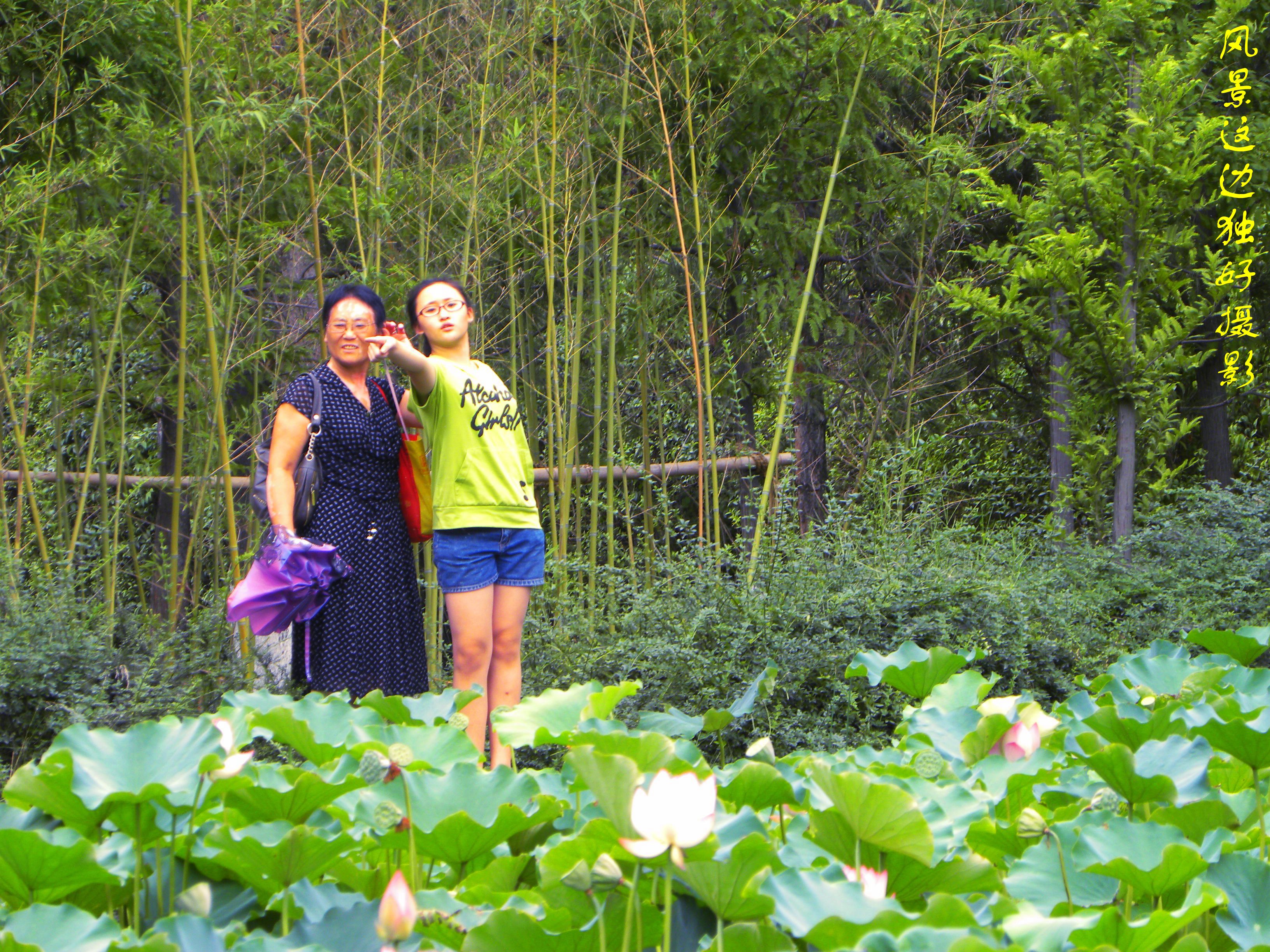 DSCN8720.JPG