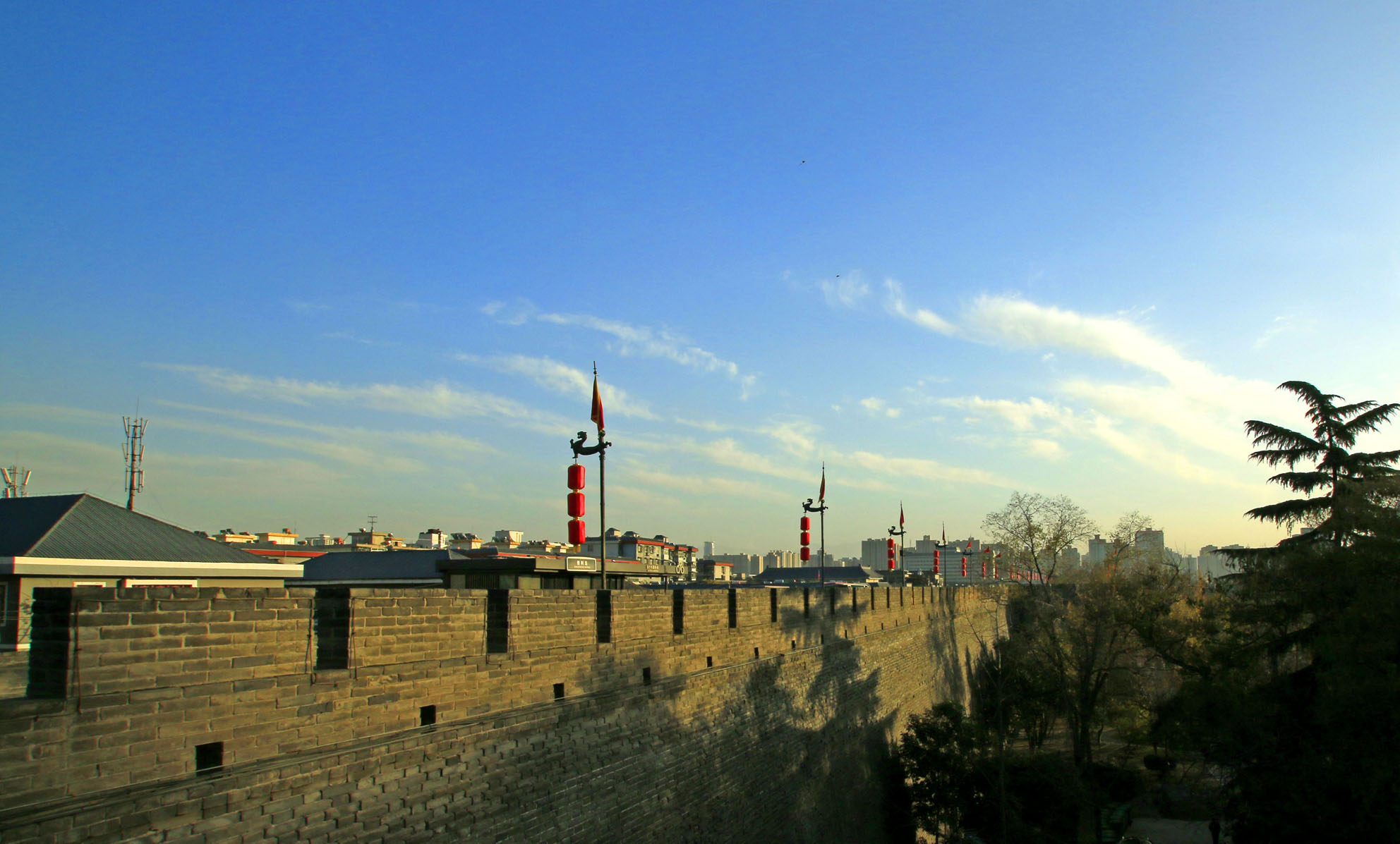 _MG_2384.JPG