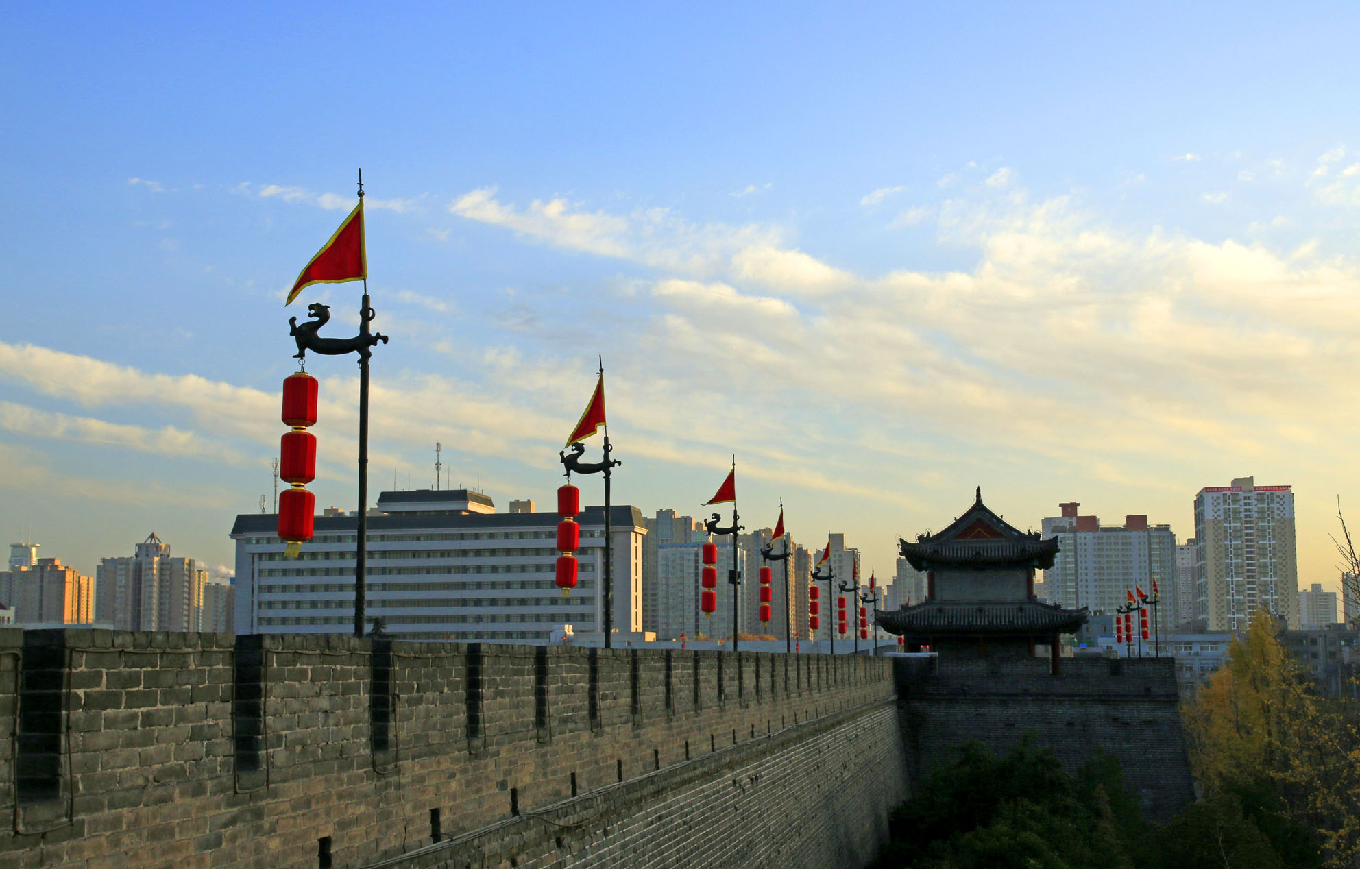 _MG_2446.JPG