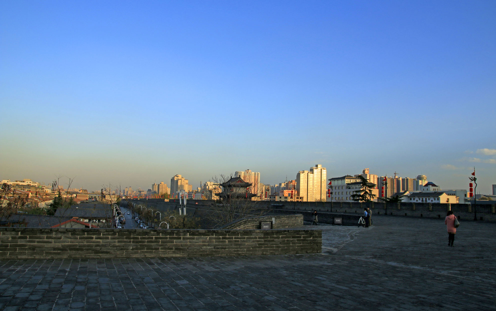 _MG_2460.JPG