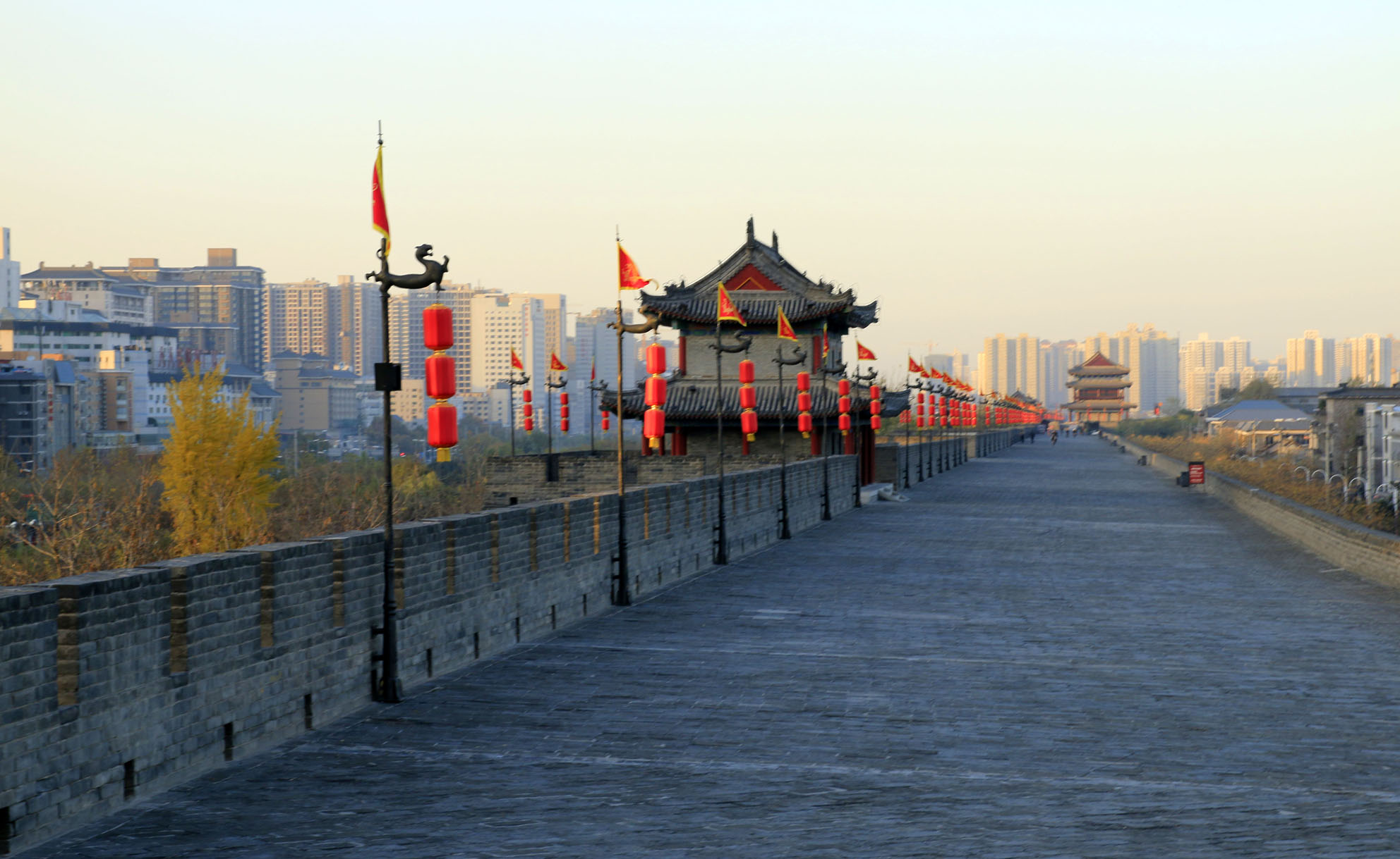 _MG_2479.JPG