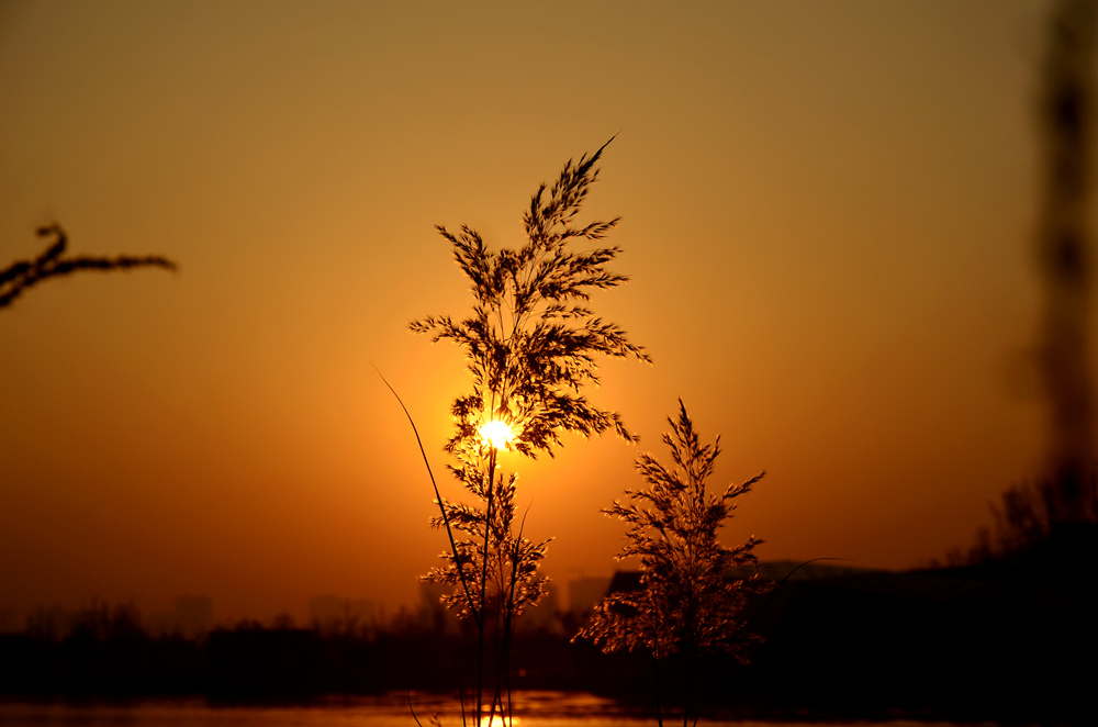 DSC_3185_副本上.jpg