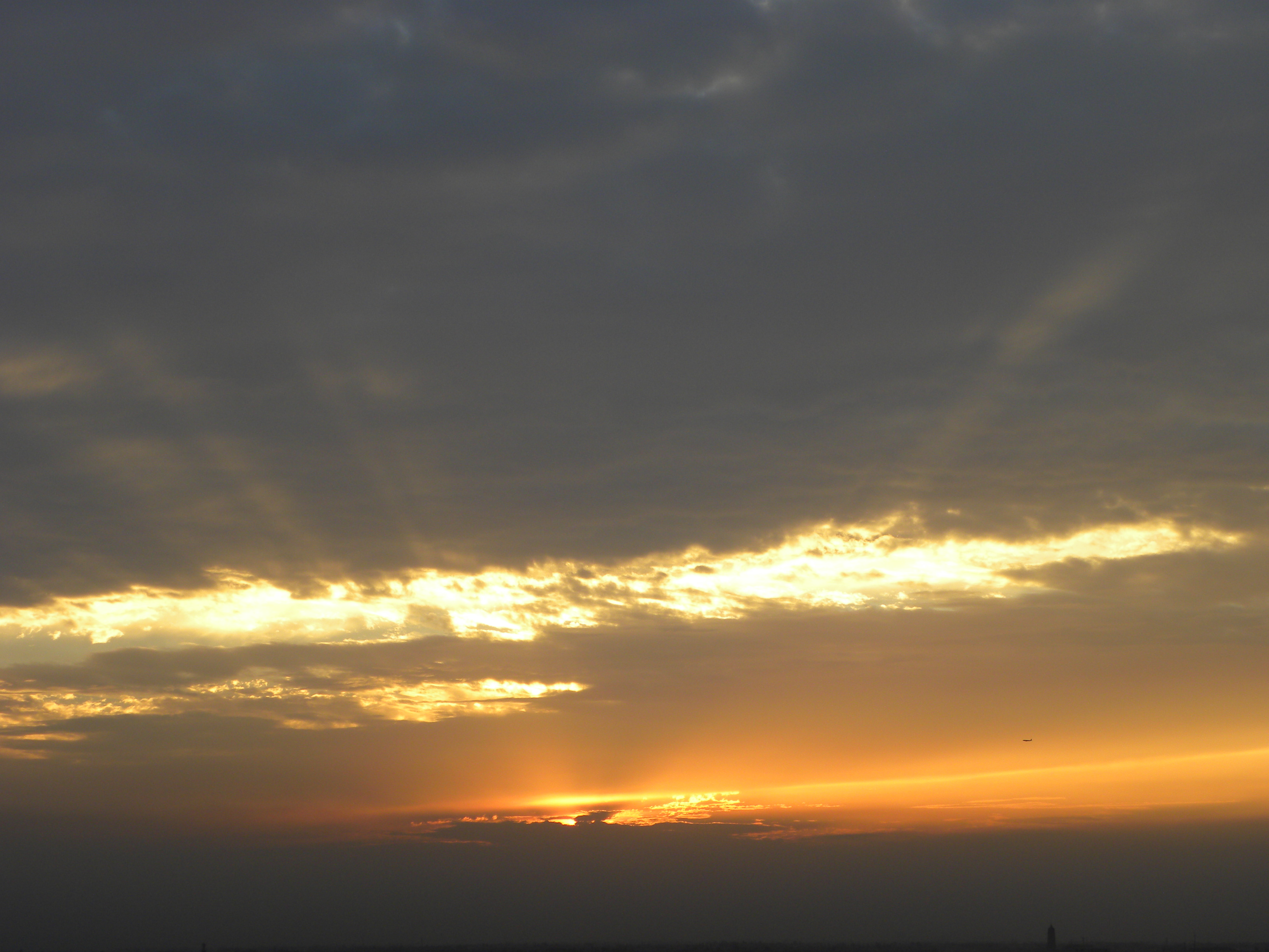 DSCN8293.JPG