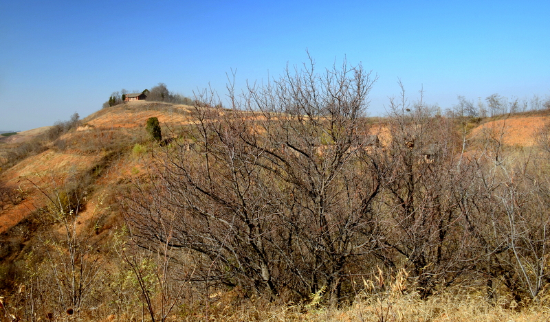 DSC_4235.JPG