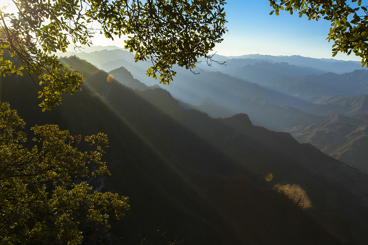 20131130_1443.jpg