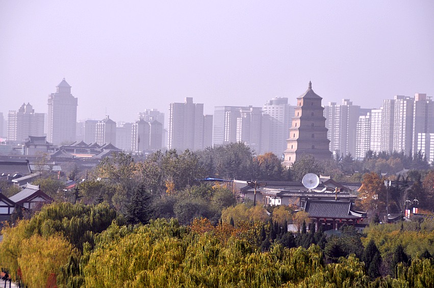 DSC_0033_conew1.jpg