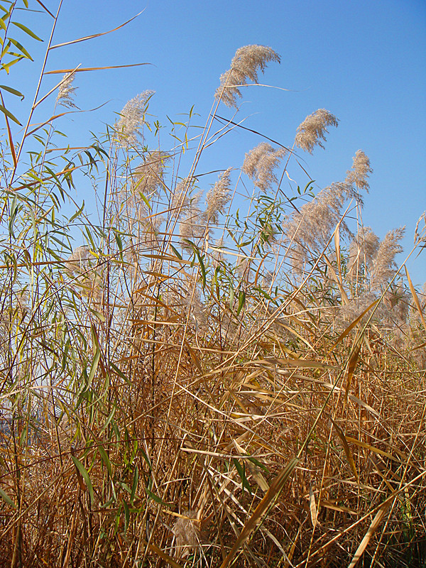 DSC02443_副本.jpg