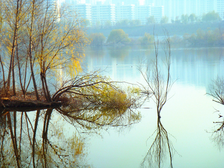 DSC02518_副本.jpg