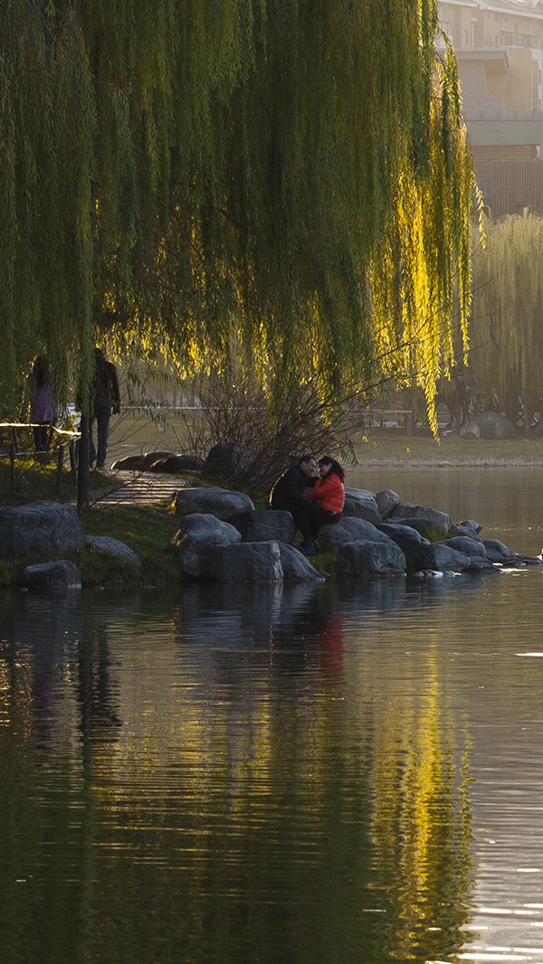 20131205_1666副本.jpg