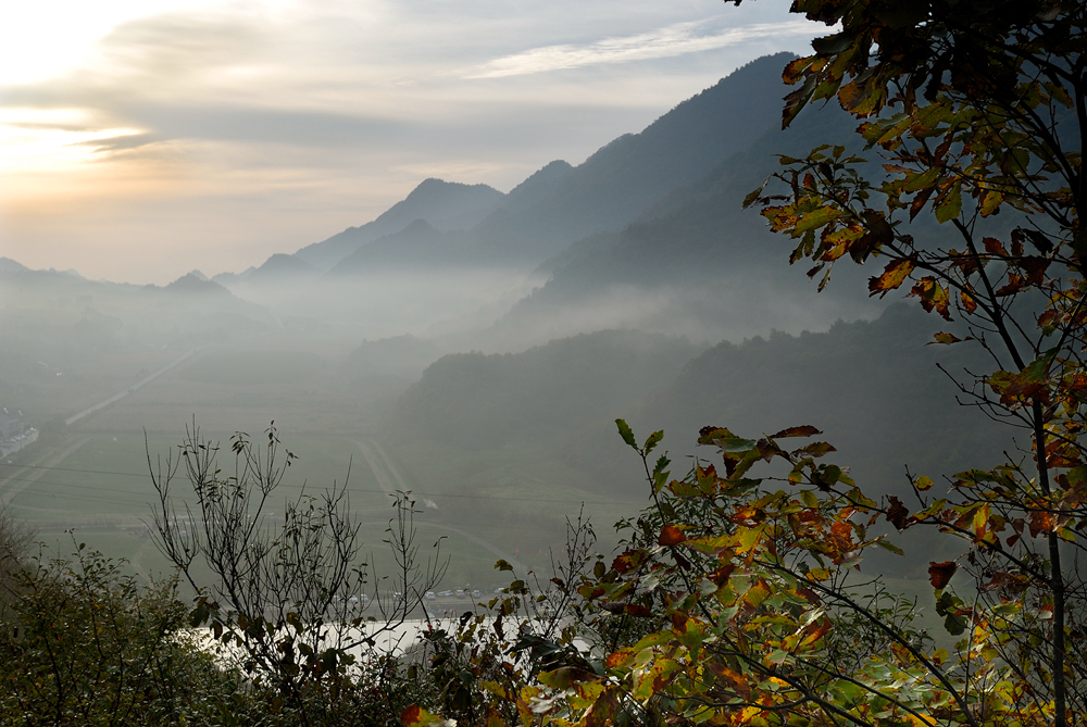 _DSC0222 - 副本.jpg