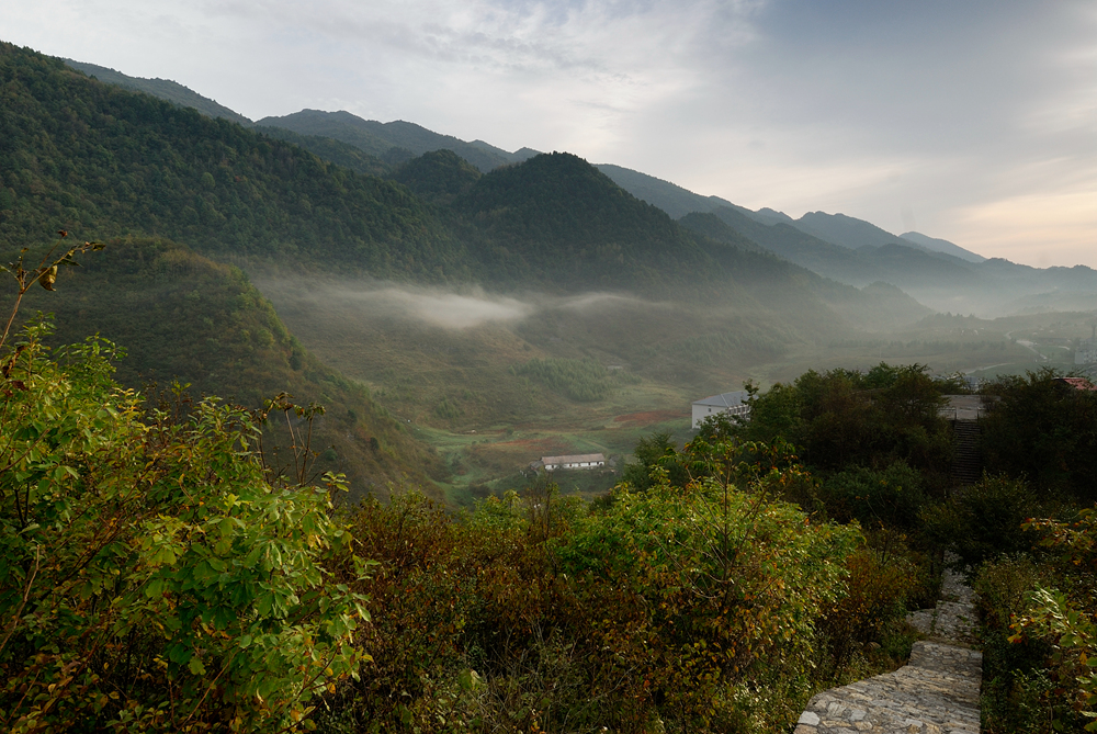 _DSC0235.jpg