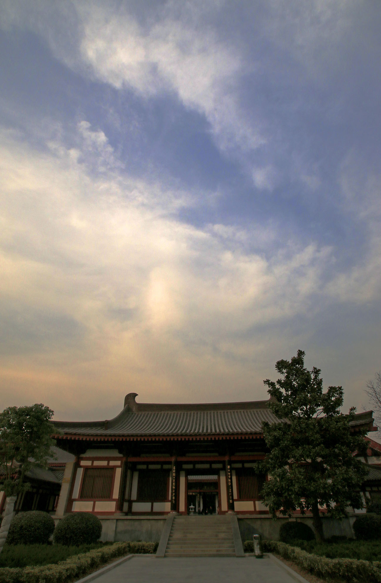 _MG_3525.JPG