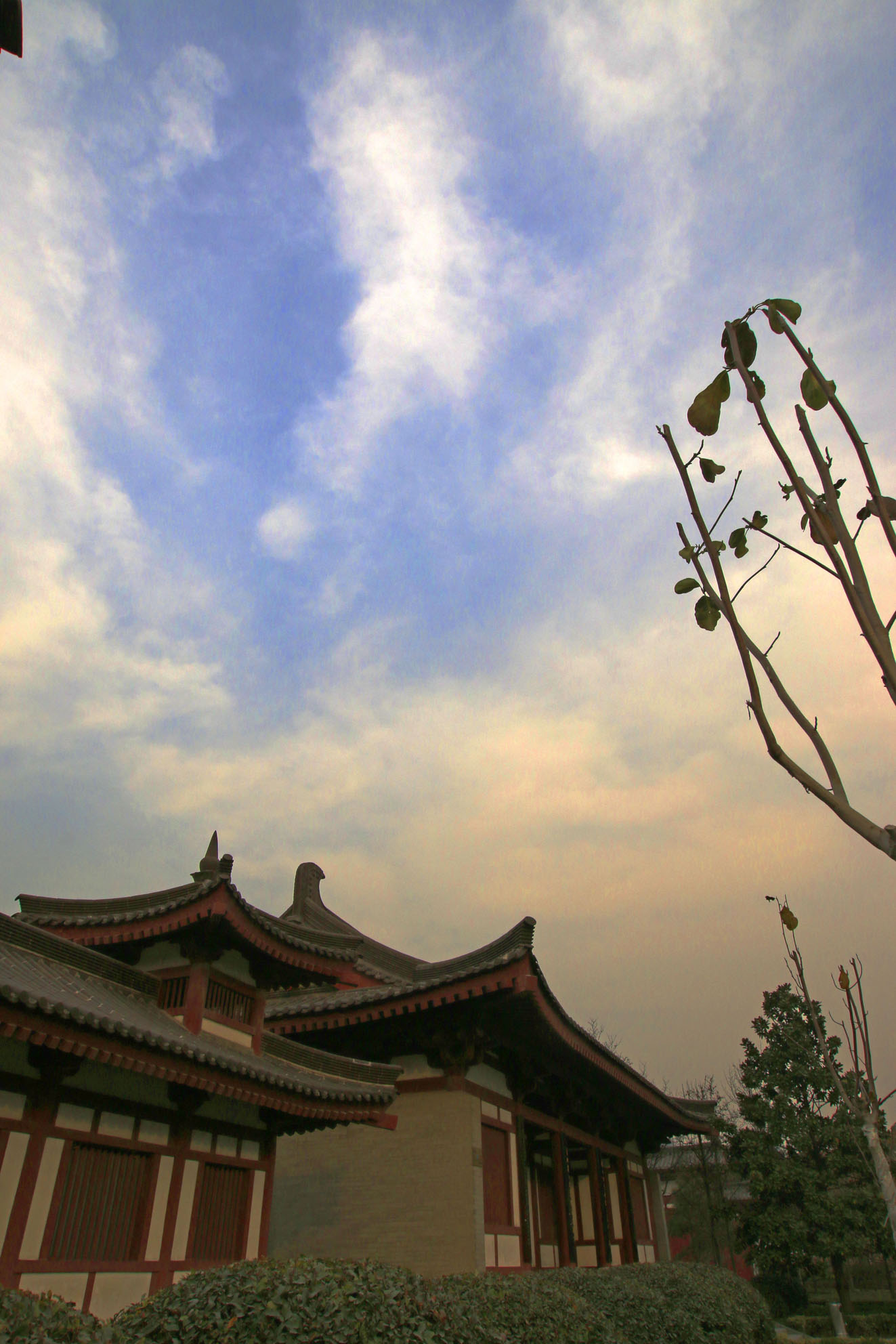 _MG_3530.JPG