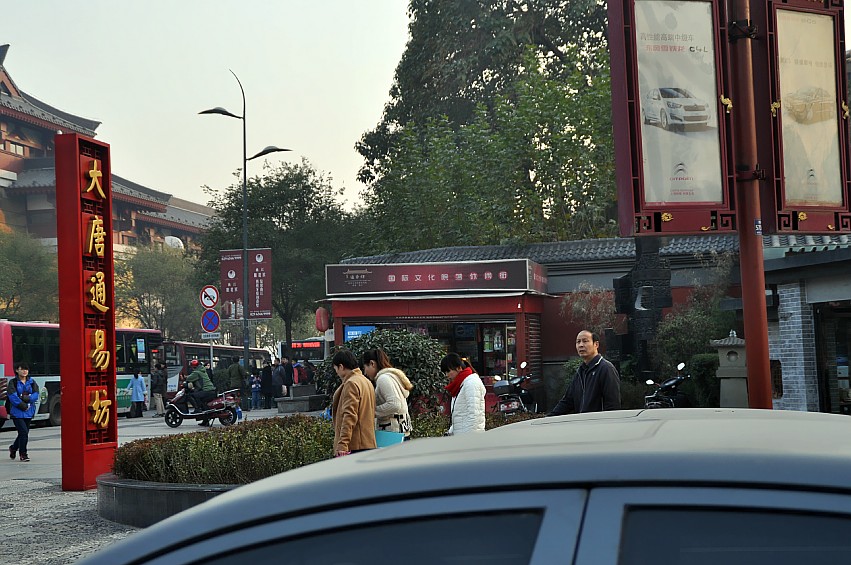 DSC_0128_conew1.jpg