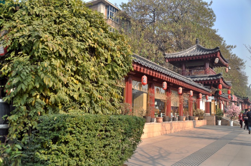 DSC_0011_conew1.jpg