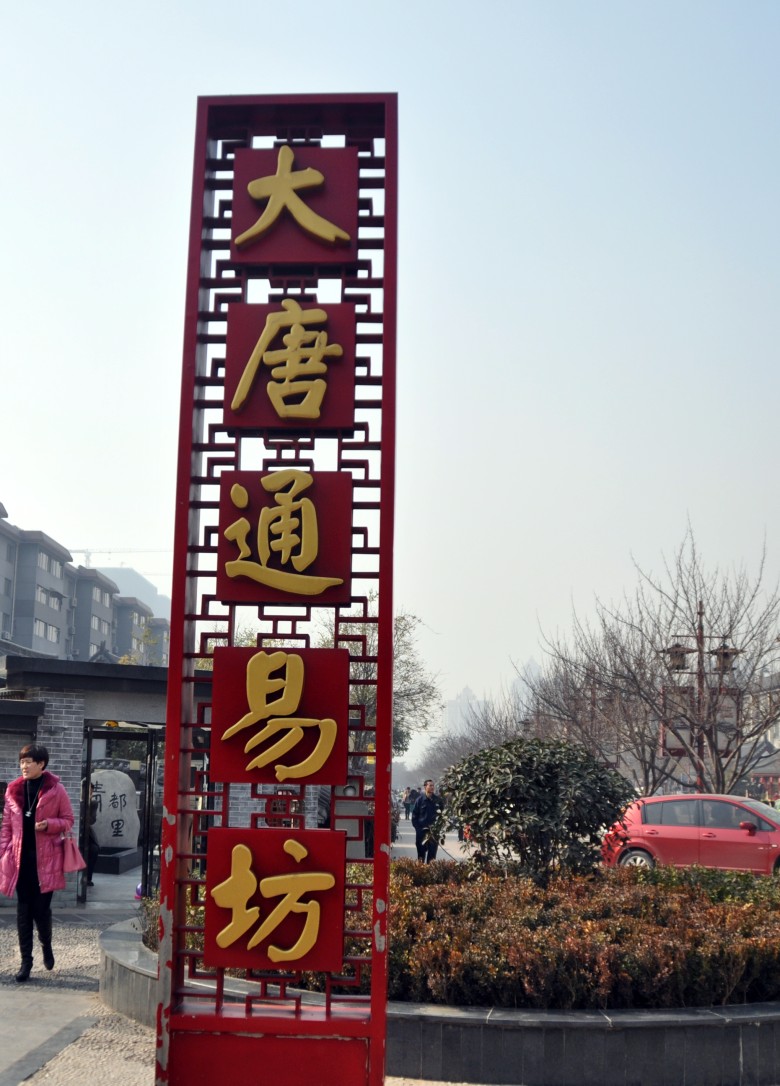 DSC_0005_conew1.jpg