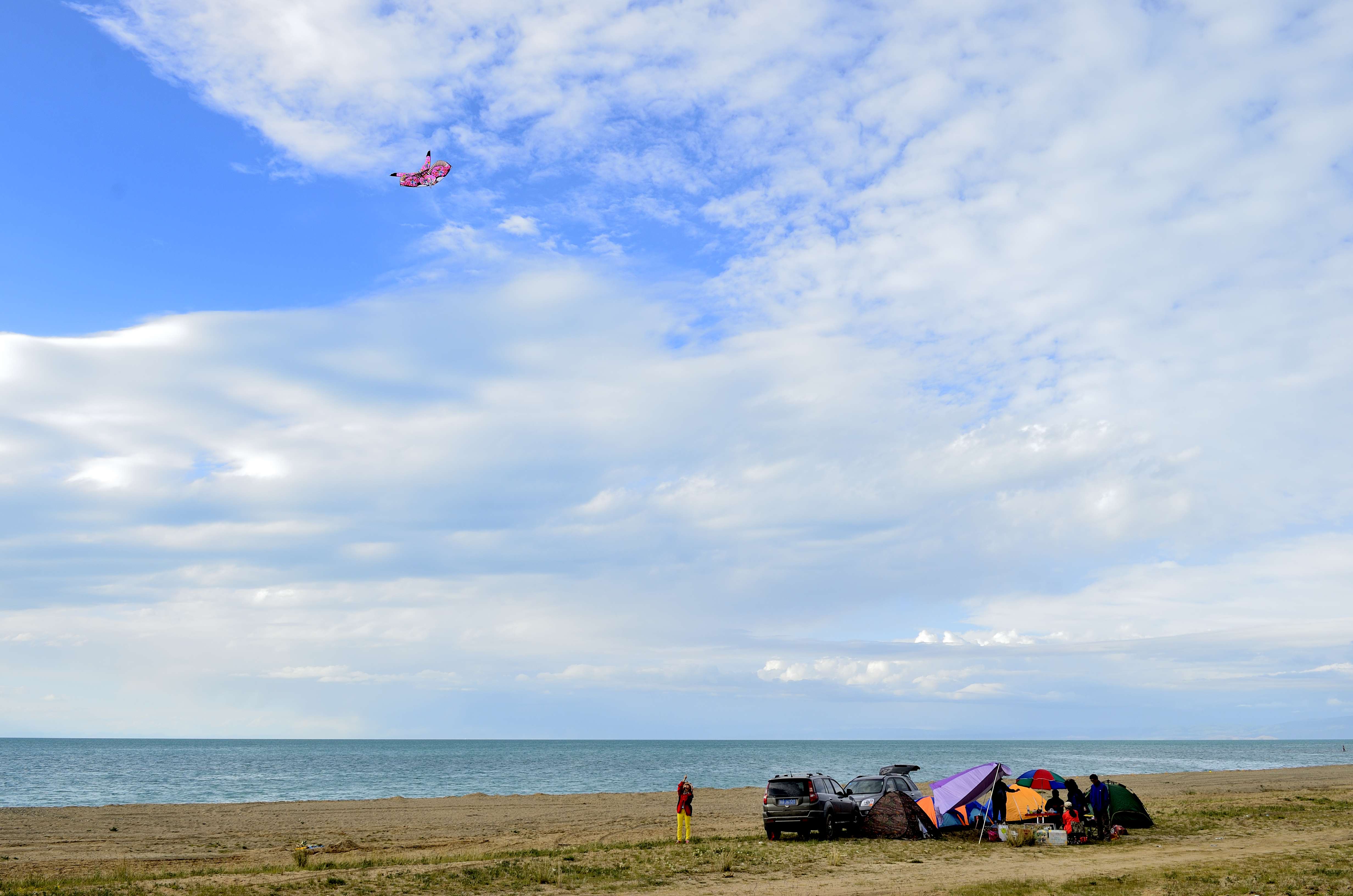 _DSC7693.jpg