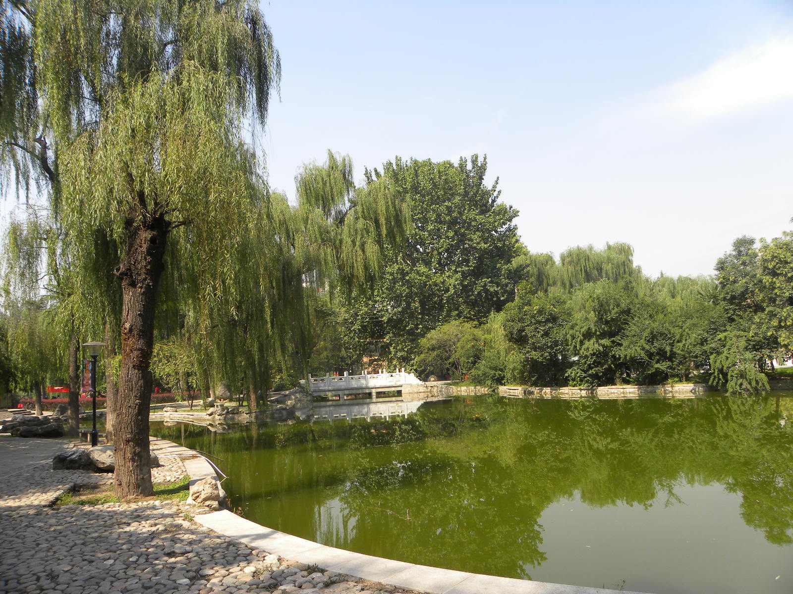 DSCN5909.JPG