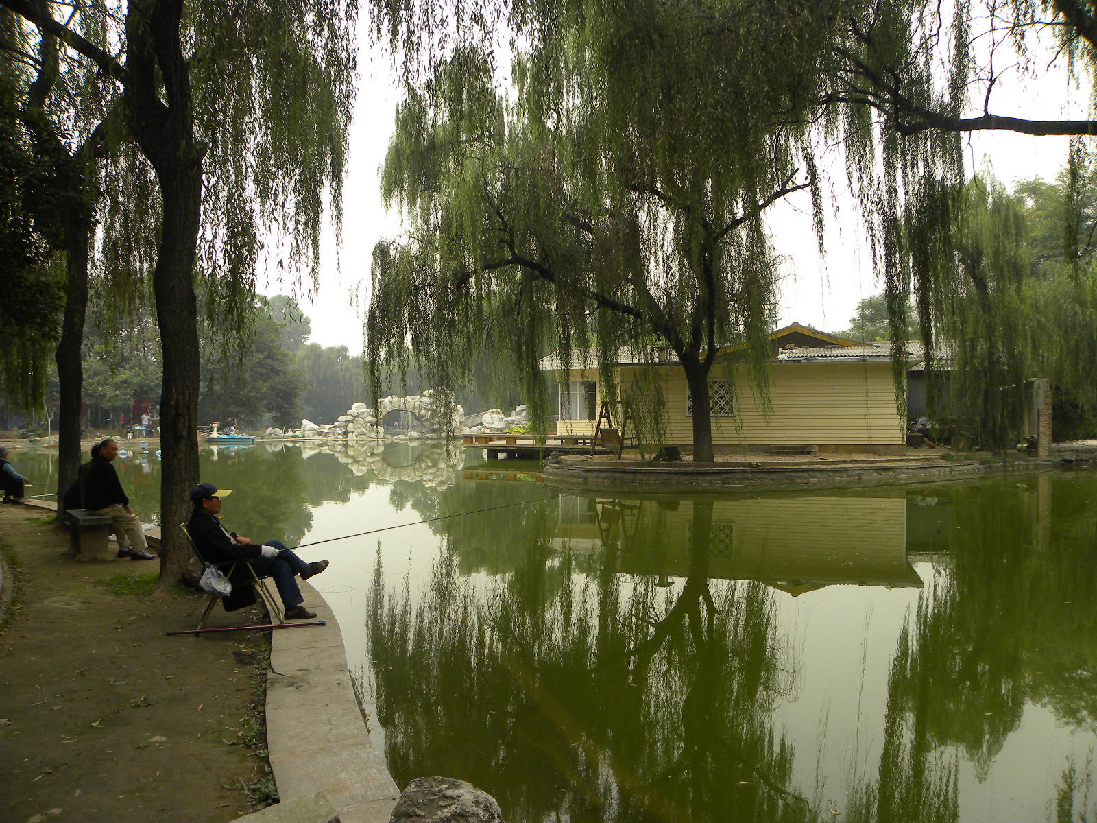 DSCN5950.JPG