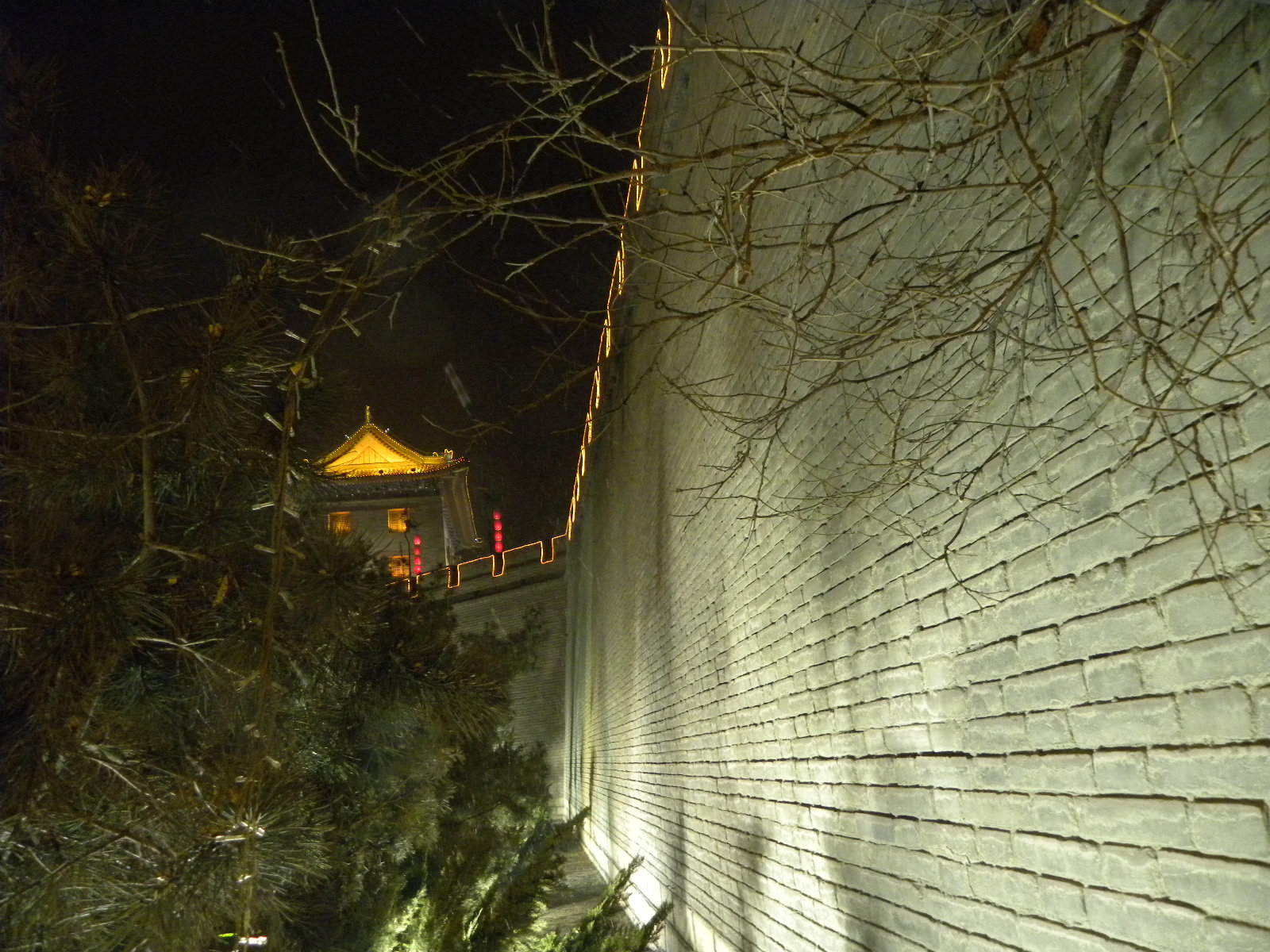 DSCN8618.JPG