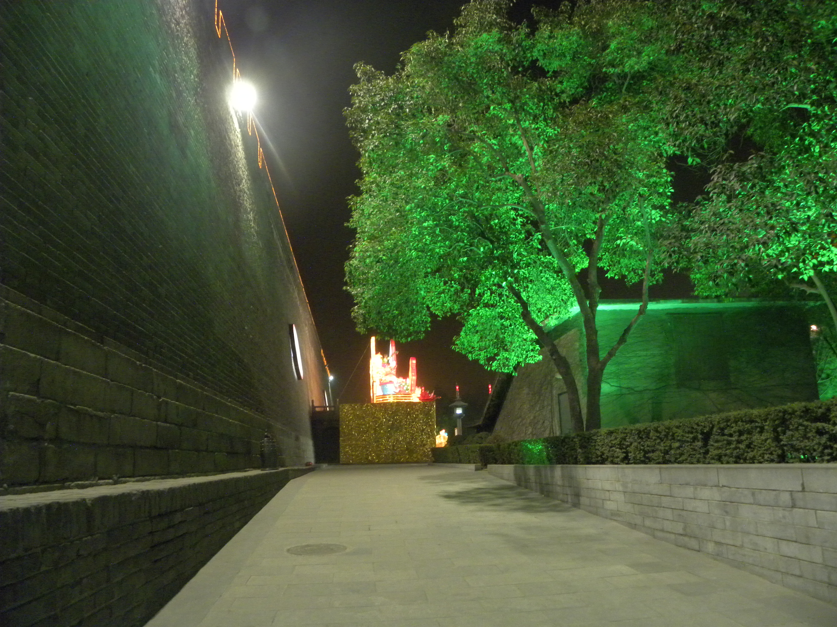 DSCN9981.JPG