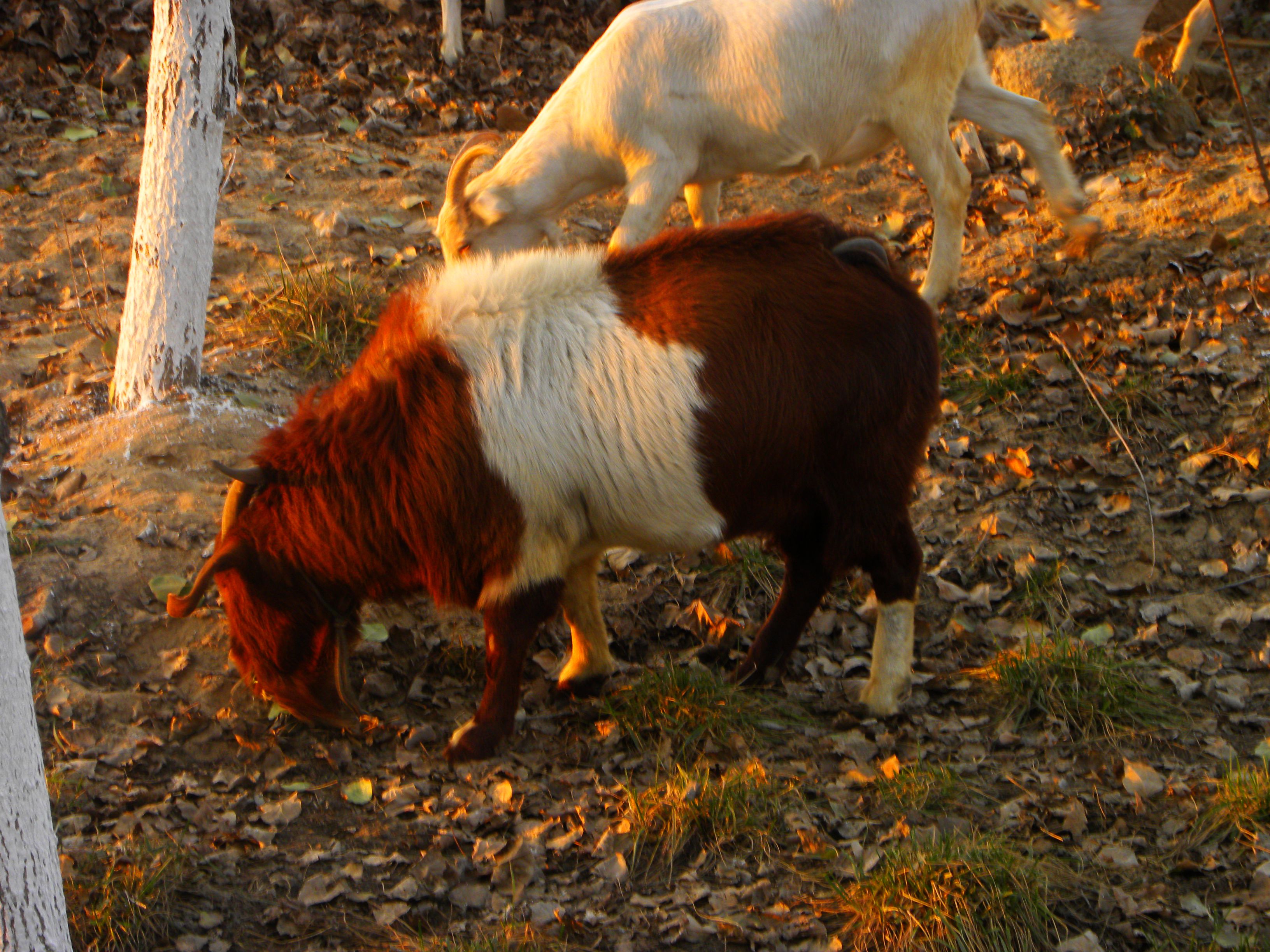 DSCN0369.JPG