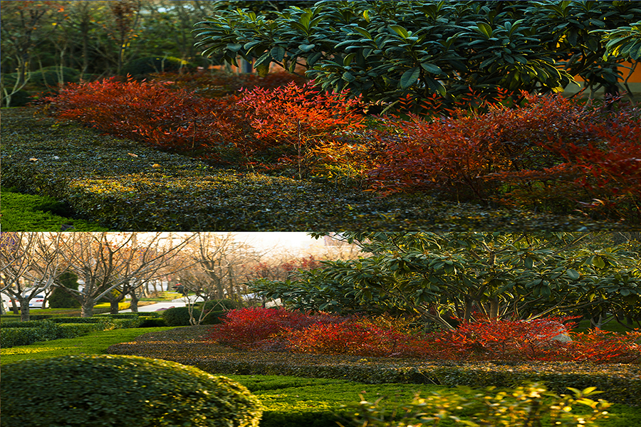 20131209_1870.jpg