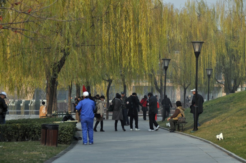 DSC_0327_conew1.jpg