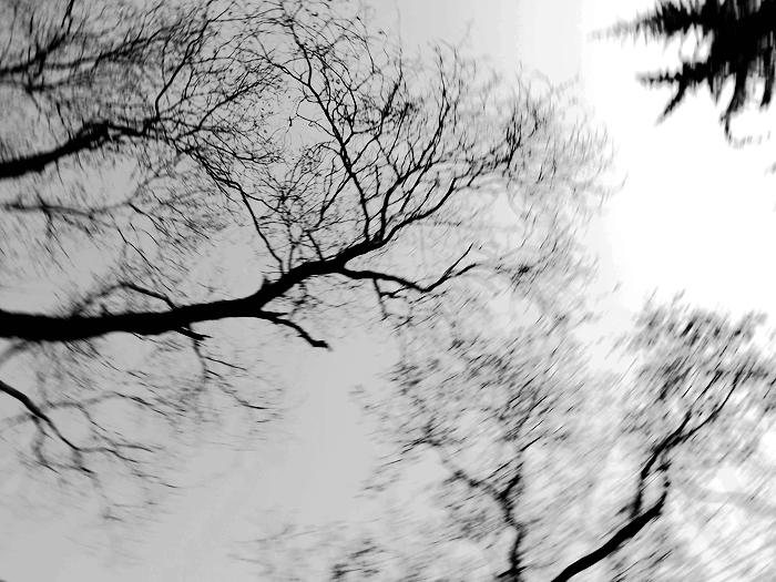 DSCF4434_副本.jpg
