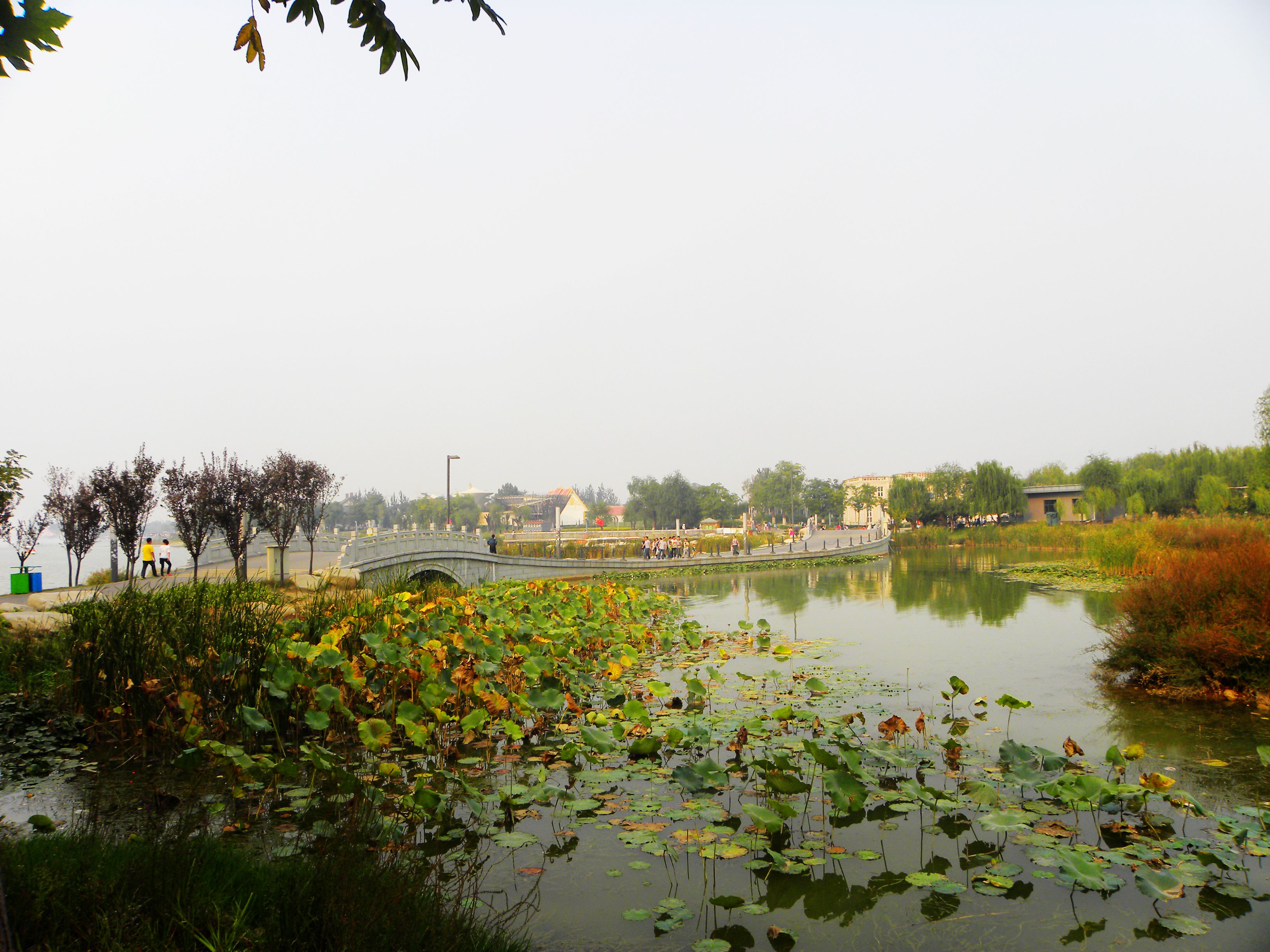 DSCN7458.JPG