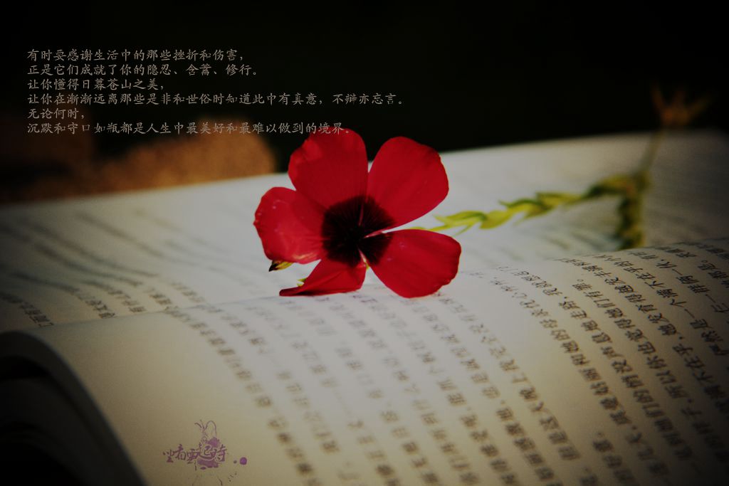 si6_副本.jpg