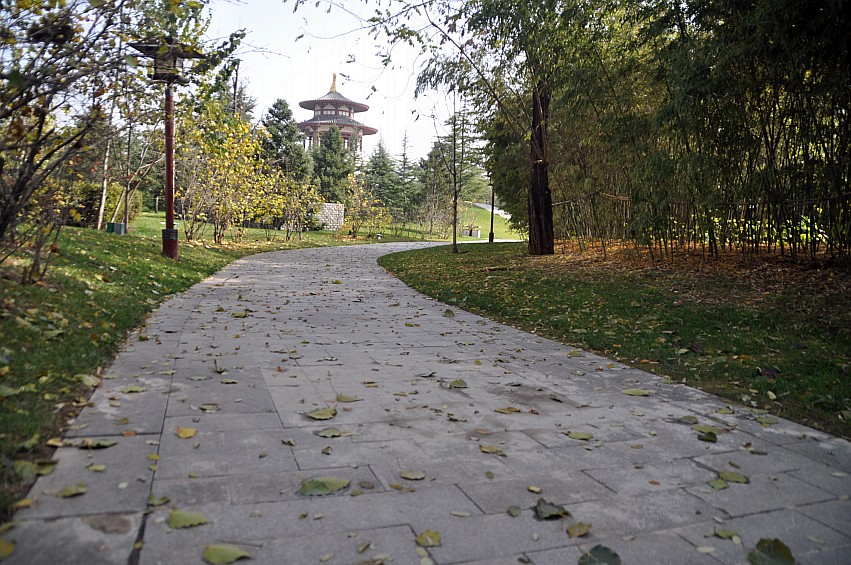 DSC_0018_conew1.jpg