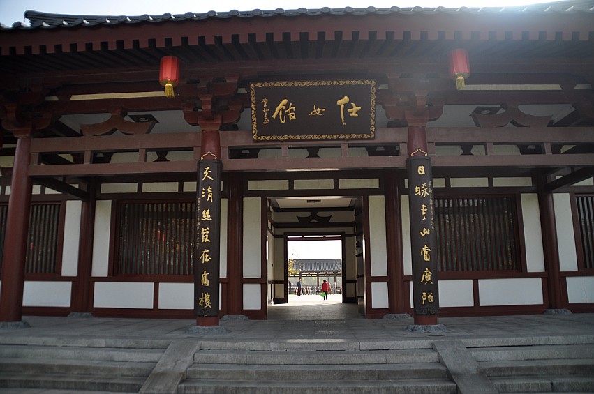 DSC_0043_conew1.jpg