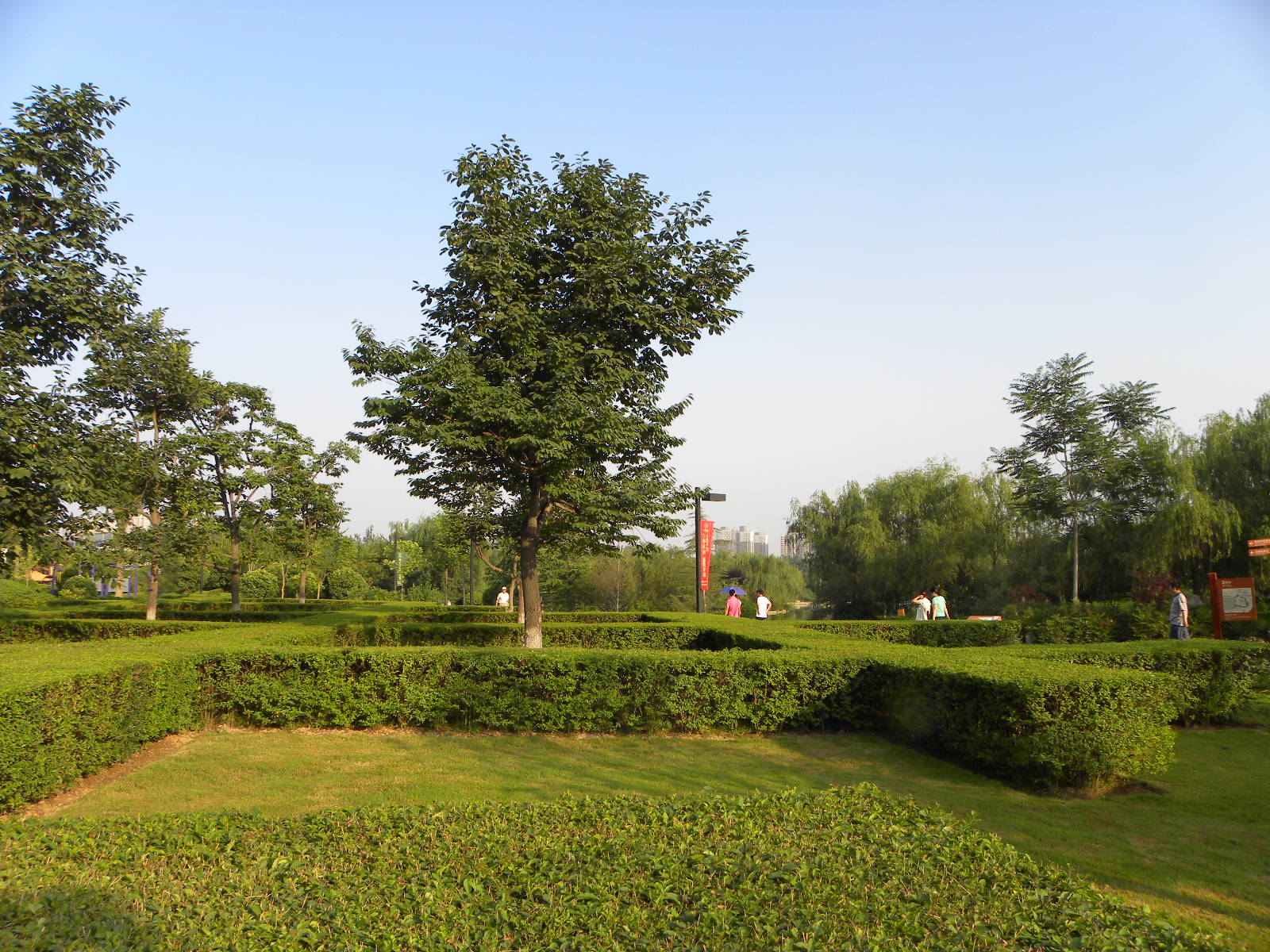 DSCN0940.JPG