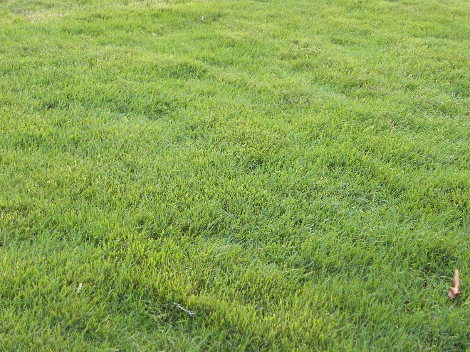 DSCN1144.JPG