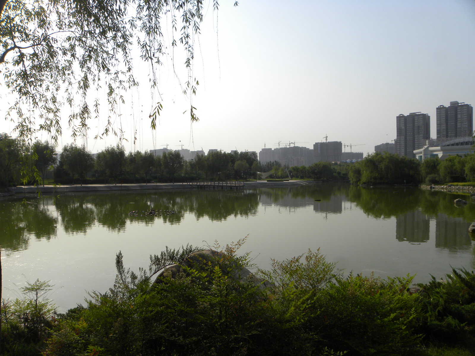 DSCN0866.JPG