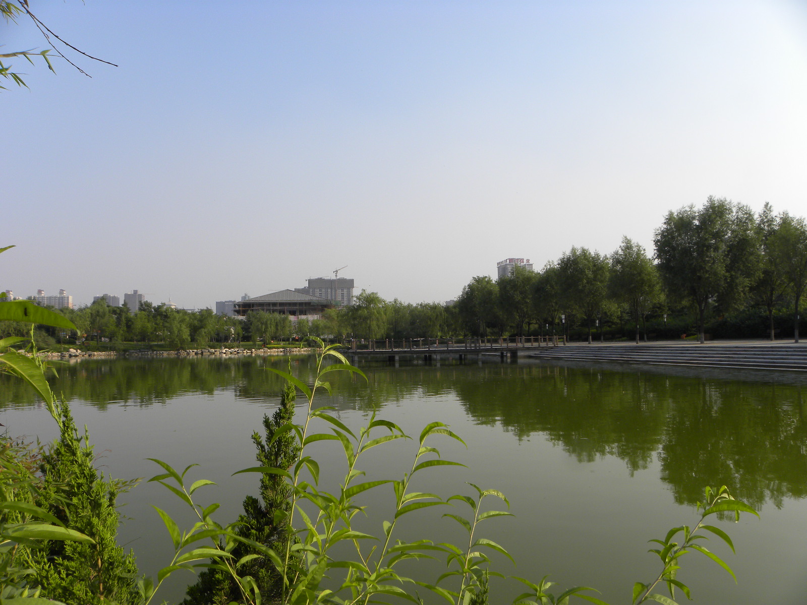 DSCN0892.JPG